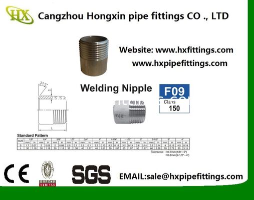 DIN2982/EN10241 黒炭素鋼クローズニップル/パイプニップル 中国メーカー 工場直販 サプライヤー